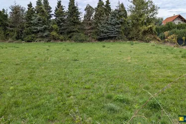 Großes Baugrundstück in ruhiger Lage am Ortsrand im Wiener Becken!