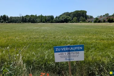 Großes, attraktives Baugrundstück in sonniger, ruhiger Lage – Ideal für Ihr Projekt!