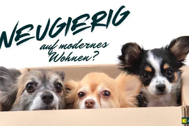 Neugierig auf modernes Wohnen in der Donaustadt?