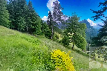 Idyllische Grundstücke in Top Lagenähe Treffen!!