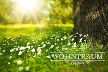 Ihr traumhaftes Grundstück zum absoluten Top-Preis – schnell Kontakt aufnehmen
