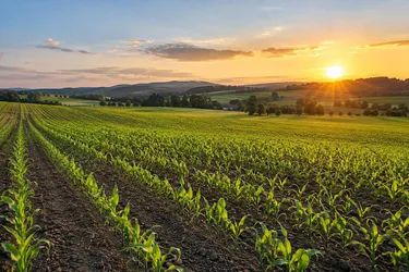 ca. 6 ha landwirtschaftlicher Nutzgrund - Bezirk GMUNDEN - erweiterbar