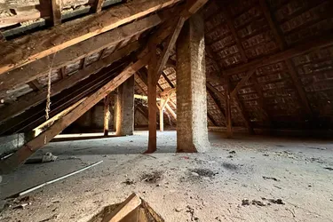 stark sanierungsbedürftiges Haus