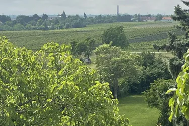 Großes Baugrundstück 2059 m² in 2504 Sooß – Ihr Traum-Eigenheim in NÖ!