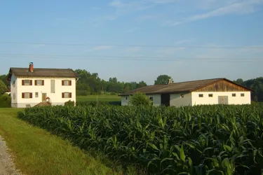 Landwirtschaft mit Potential