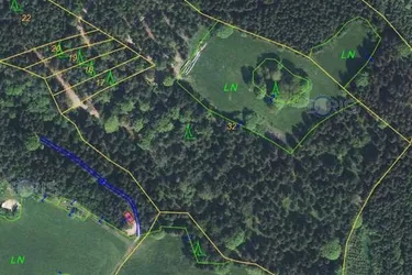 Wald und Naturjuwel