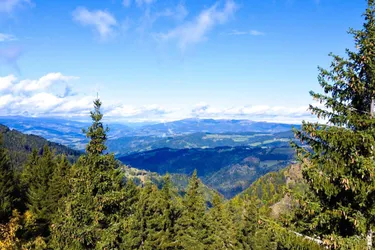 Sonniges Paradies auf der Koralpe: 1479,3m² Baugrund mit Skipisten-Nähe, ohne Baupflicht und atemberaubendem Talblick Richtung Wolfsberg!