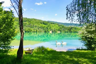 GEPFLEGTE HAUSHÄLFTE IN FEISTRITZ IM ROSENTAL – GARTEN, XXL-GARAGE UND HOMEOFFICE