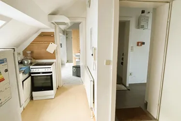 Dachgeschosswohnung im Innenstadtund und Blick an die Donau