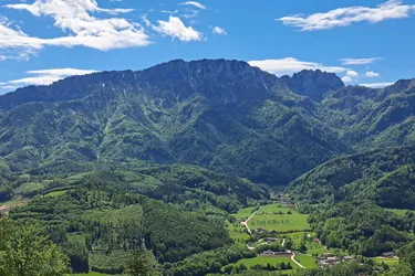 475 ha Bergmischwaldrevier in den OÖ Kalkvoralpen