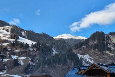 großzügige Dachgeschosswohnung nahe Skilift