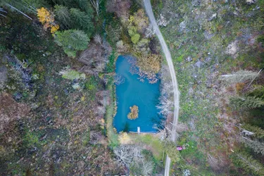 Wunderschöne Teichanlage in Kärnten