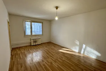 Neubau/freier Mietzins: Befristet vermietete 1-Zimmer Wohnung im Erdgeschoß, Haus wärmegedämmt, Fenster isoliert