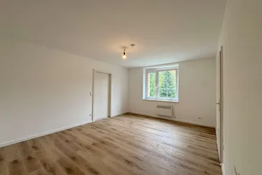 Sanierte 2-Zimmer-Erdgeschosswohnung in Hainfeld zu vermieten