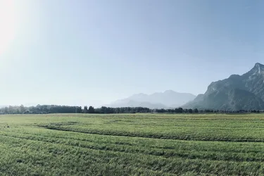 Idyllisches Baugrundstück in Leopoldskron-Moos // direkt vom Eigentümer