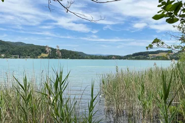 Natur pur am Keutschacher See
