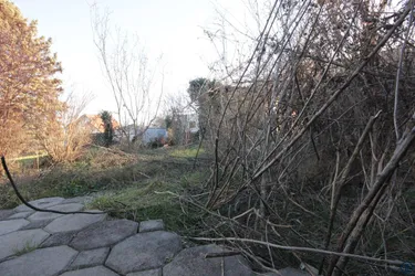 Expose AUS ALT MACH NEU - NEUBAU OD. SANIERUNG