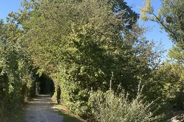 Wo die Natur vor der Haustür beginnt: Sport, Entspannung und ein neues Zuhause in Liesing.