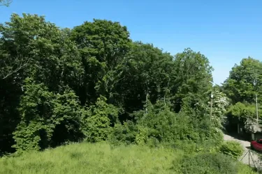 Exklusives großes Grundstück am Heuberg in Ruhelage mit Baugenehmigung