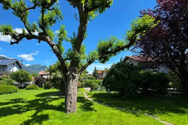 Sonniges Baugrundstück in Inzing.