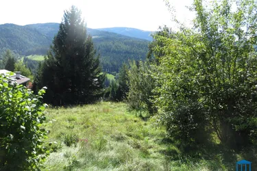 Baugrund am Semmering mit Ausblick
