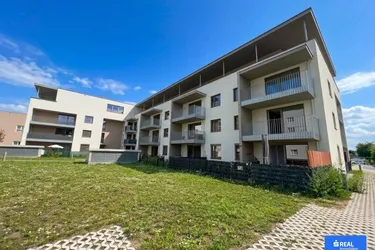 Vitrino- Neubau- Erstbezug