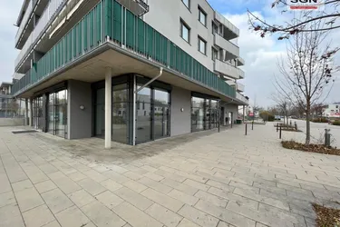 Großzügige Bürofläche anzumieten mit Stundungsvariante