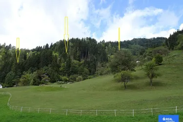 Expose Interessante Waldfläche im Lavanttal