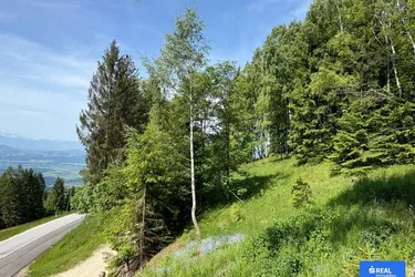 Herrliches Baugrundstück auf der Koralpe