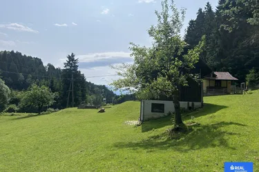 RARITÄT Nähe Wolfsberg - Häuschen mit Nebengebäuden, Fischteiche und Wildgehege