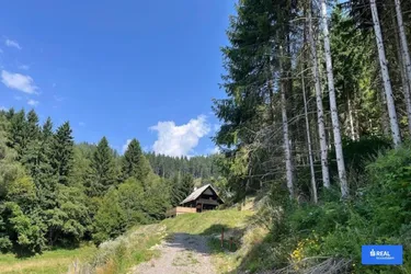 Ihr Rückzugsort in den Bergen "Almhaus Sonnblick" in Alleinlage Nähe Schi- und Erholungsgebiet Klippitztörl
