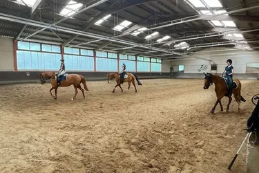 Reithalle / Pferdeboxen und ca. 4.500m² Grund