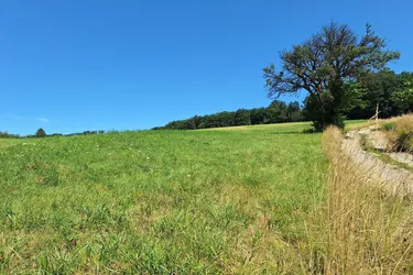 3,4 ha - aneinandergrenzende landwirtschaftliche Parzellen