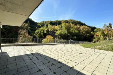 branchenfreies Geschäftslokal am Wiener Stadtrand – perfekt für Ihre Ideen! | ZELLMANN IMMOBILIEN