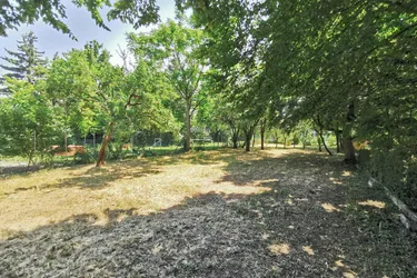 522m² Garten (kein Baugrund) mitten in Langenzersdorf