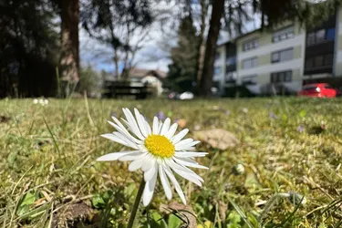 Einladenedes Wohnambiente auf ca. 71m² in unvergleichlicher Naturkulisse – Direkt gegenüber der Privatklinik Villach