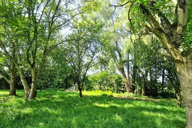 GRUNDSTÜCK IN IDYLLISCHER NATURLAGE -