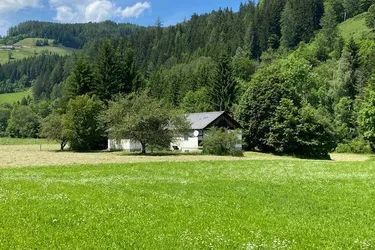 8762 Oberzeiring - Grundstück mit stark sanierungsbedürftigem Haus und landwirtschaftlicher Nutzfläche