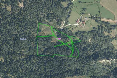 WALDGRUNDSTÜCKE AM LAUFENBERG ZU VERKAUFEN