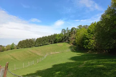 Landwirtschaftlicher Nutzgrund in wunderschöner ruhiger Aussichtslage !