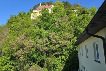 SONNIGE ZWEI-ZIMMER -MIETWOHNUNG IM ZENTRUM