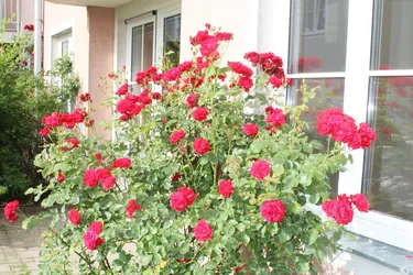 Traumhafte 4-Zimmer-Eigentumswohnung mit Terrasse und direktem Gartenanschluss