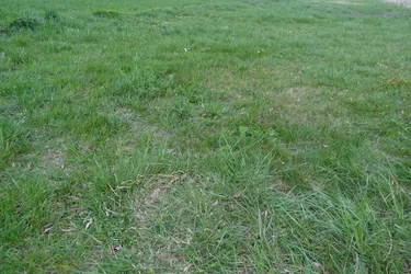 7024 Hirm sehr interessantes 4400m² Bauträgergrundstück !