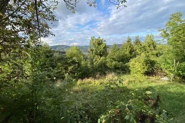 PREISREDUKTION ! 1.273 m² Grundstück in absoluter Grünruhelage in 1140 Wien ideal für ein Eigenheim !