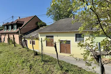 Weinkeller in idyllischer Kellergasse | Nähe Langenlois