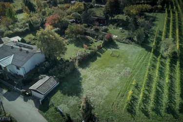 SONNE, WEIN &amp; WEITBLICK – 735 m² BAUGRUNDSTÜCK DIREKT AM WEINGARTEN IN KLOSTERNEUBURG ZU KAUFEN!