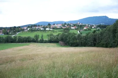 Geniale Lage mit perfekter Ausrichtung, Nähe dem Zentrum von Kumberg