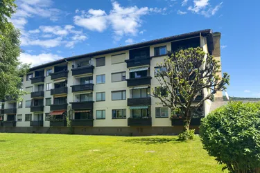 MIT GRÜNBLICK! 3-ZIMMER-WOHNUNG IN OBERALM!