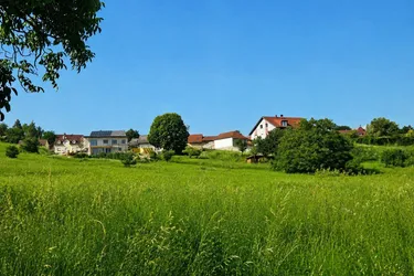 Sonniges Baugrundstück in Leobendorf – Ihr Platz für die Zukunft