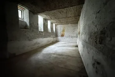 Seltene Gelegenheit: Sehr hohes, geräumiges Kellermagazin mit Tageslicht und Fenstern zum Hof, Wasser- und Stromanschluss und WC